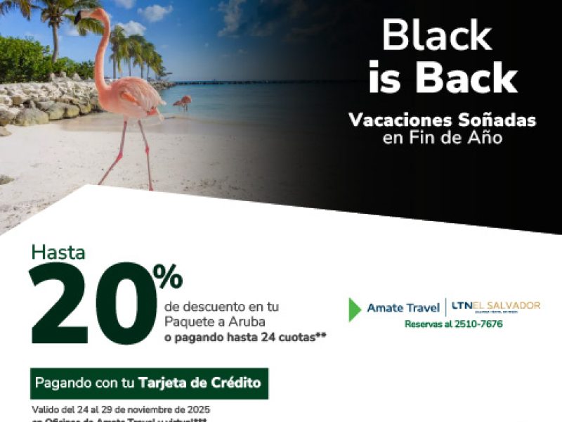 Las mejores promociones en hoteles, autos y vuelos
