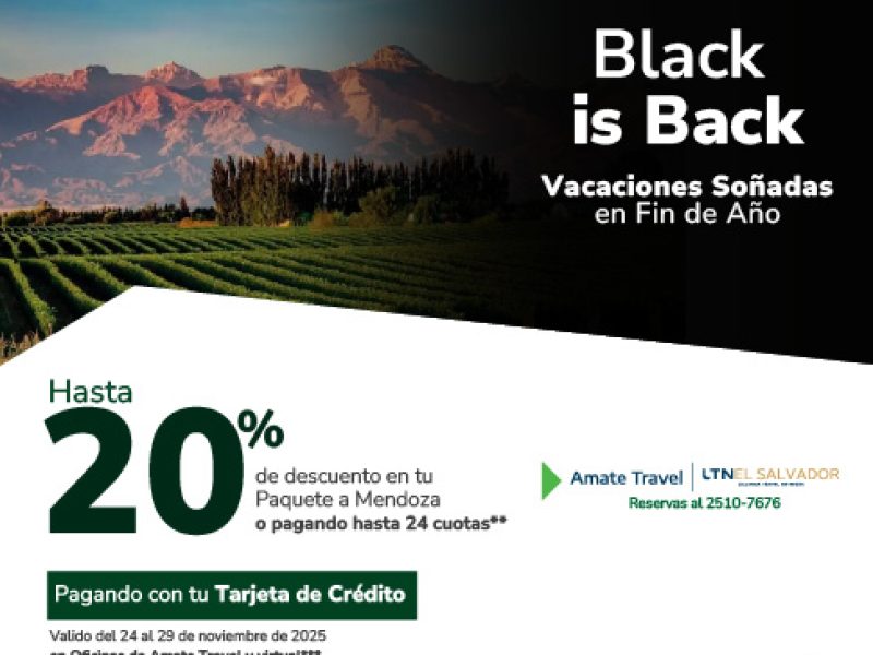 Las mejores promociones en hoteles, autos y vuelos