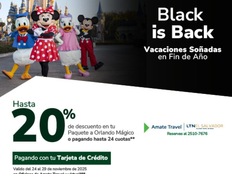 Las mejores promociones en hoteles, autos y vuelos