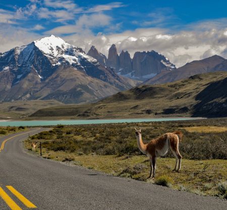 Las mejores promociones en hoteles, autos y vuelos